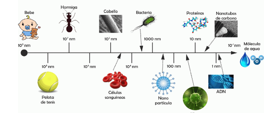 nanotecnologia Escala nano comparando diferentes tamanhos até a escala visível a olho nu.
