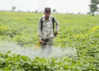 homem utilizando defensivo agrícola na plantação