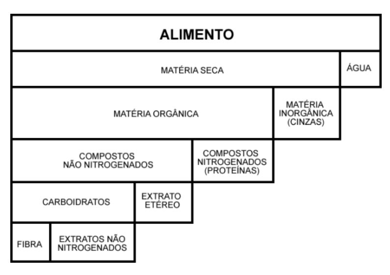 esquema com a composição dos alimentos