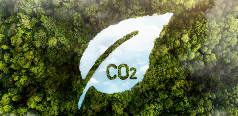 neutralizacao-de-carbono